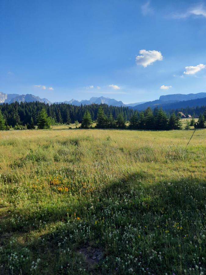 Etno House Momcilo Villa Žabljak Exteriör bild