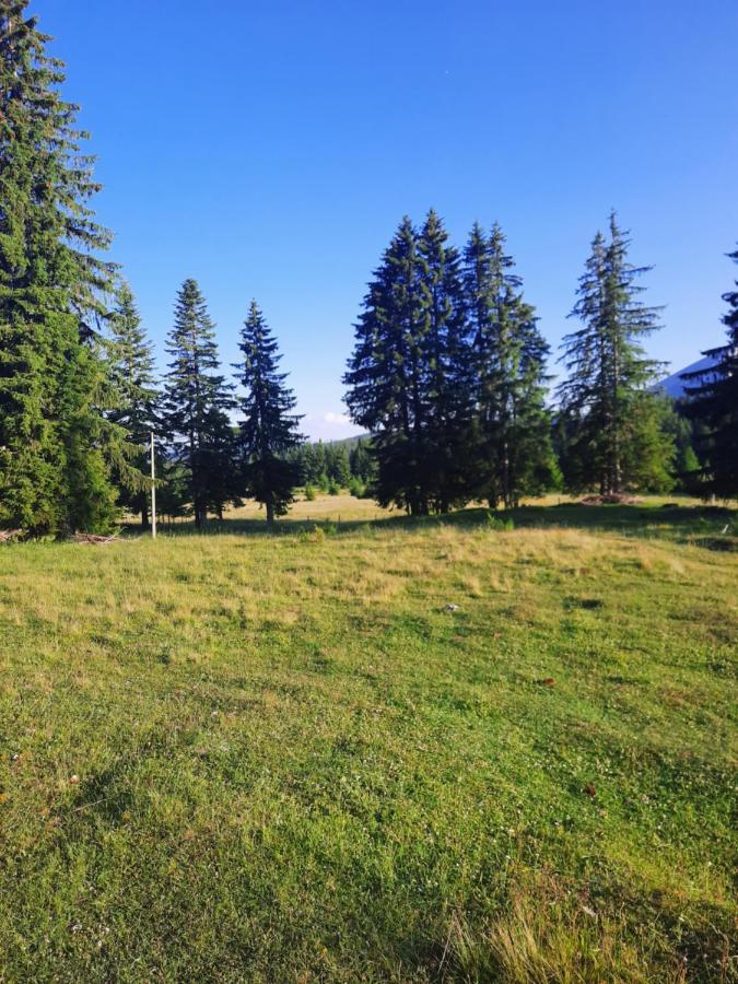 Etno House Momcilo Villa Žabljak Exteriör bild